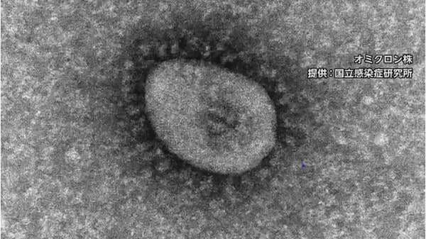 新型コロナワクチン　ファイザー･モデルナCEO 今後も定期接種必要との見方示す