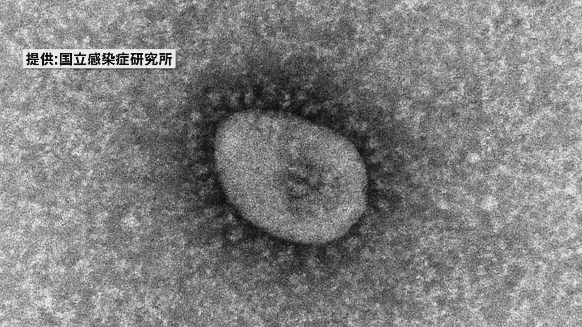 【速報】新潟県内で過去最多２２０人程度の新規感染者を確認　（TeNYテレビ新潟） - Yahoo!ニュース