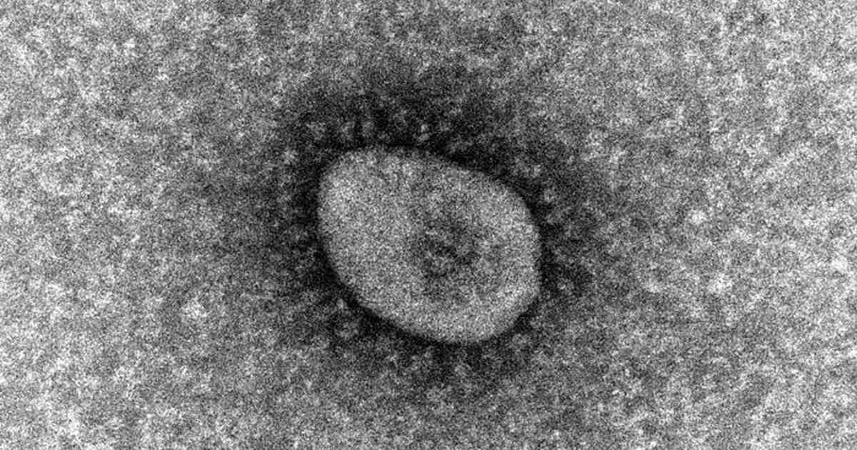 オミクロン株2種流行　うち1種類が市中感染か　米軍基地　／沖縄　 | 毎日新聞