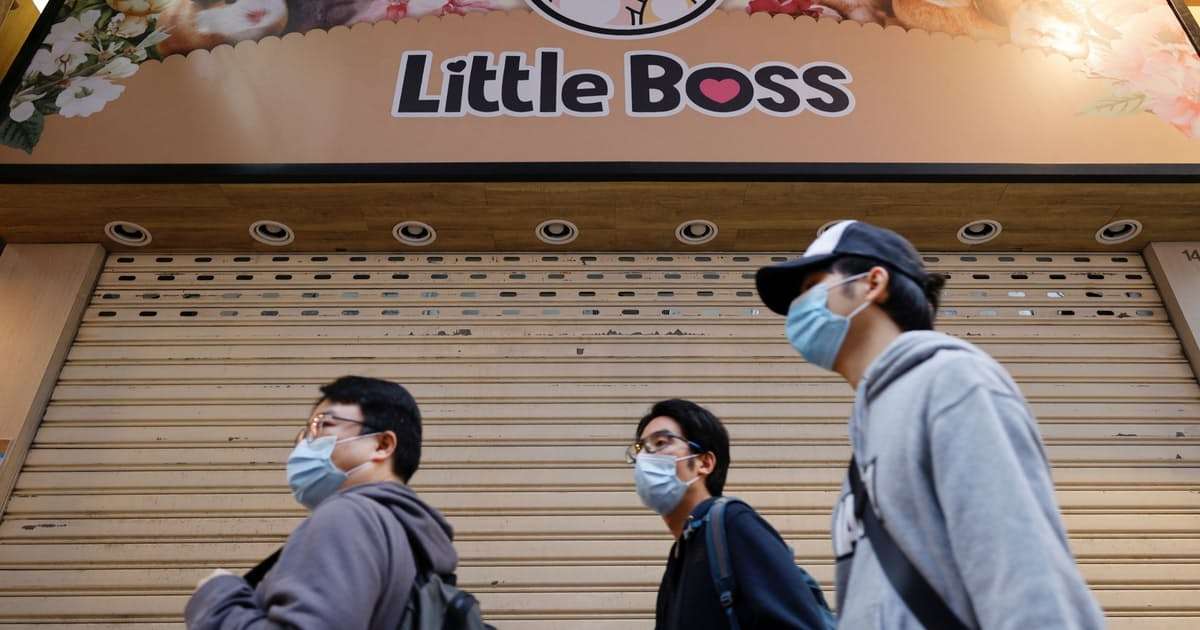 新型コロナ: 香港、ハムスターから人間に感染か　2000匹を殺処分へ: 日本経済新聞
