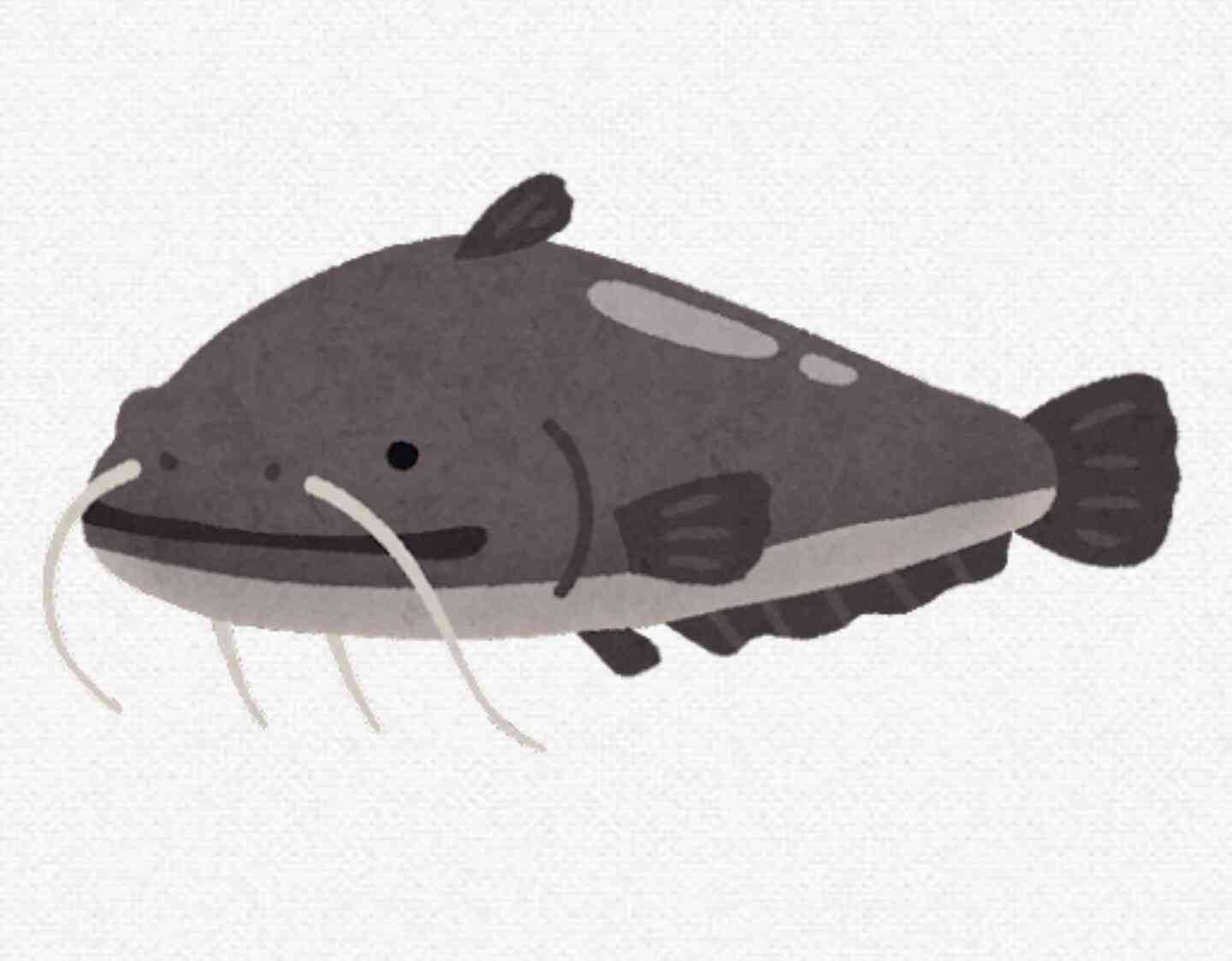 苦手な魚