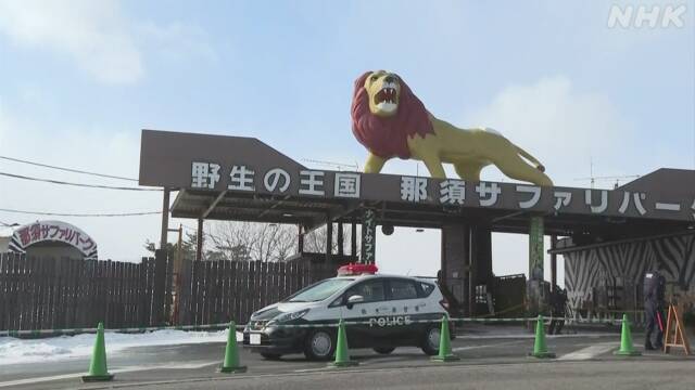 トラにかまれ飼育員の男女3人けが 栃木 那須サファリパーク | NHKニュース