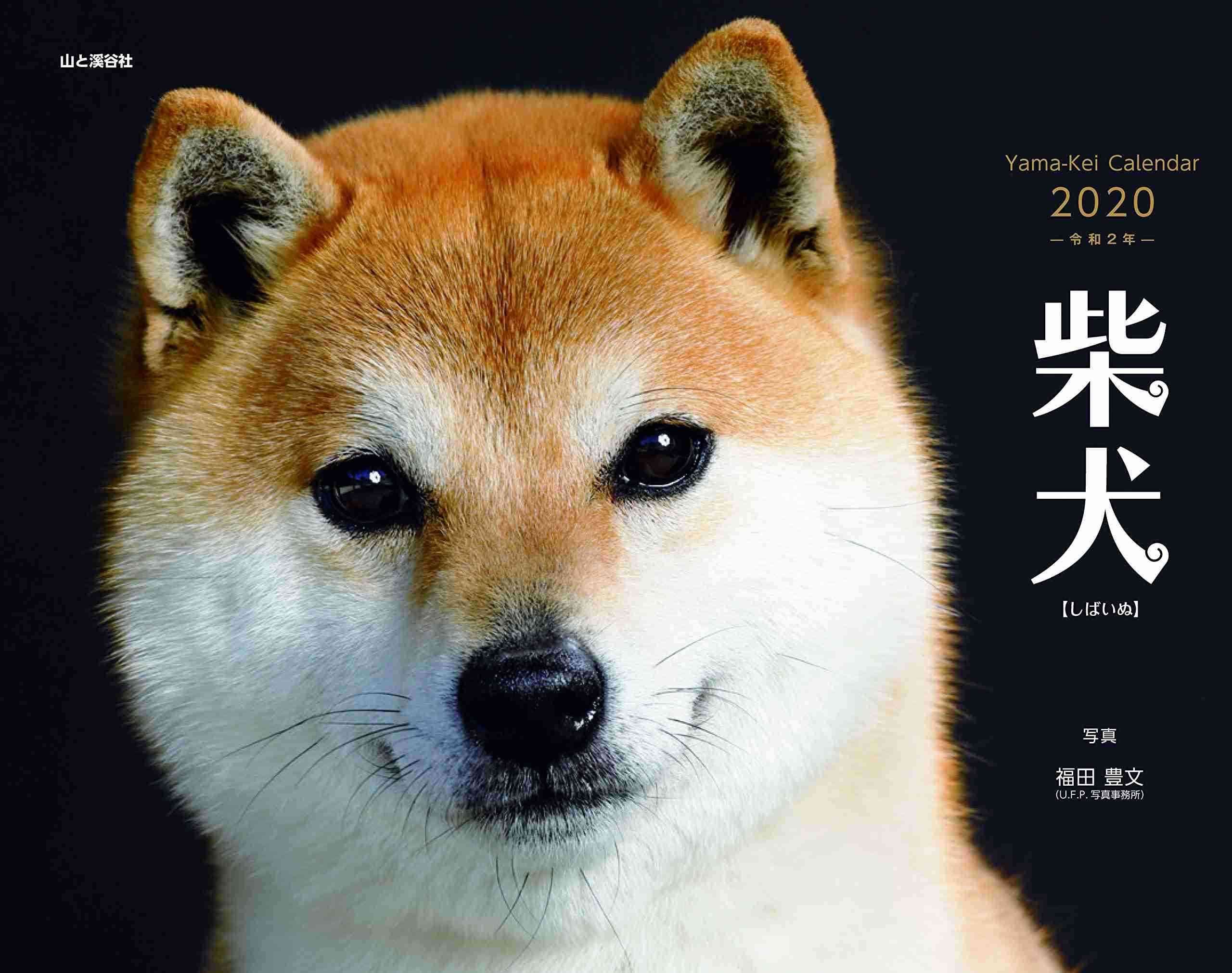 「この人犬っぽいな」と思うとき