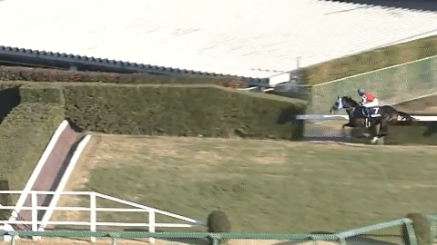 好きな競走馬は？Part3