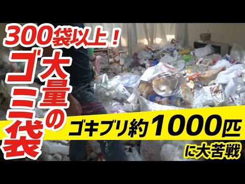40代女性からのご依頼【1LDKにゴミ袋300袋以上】食べ残し飲み残しが多く大量の虫と格闘しながらのお片付け動画になります。 - YouTube