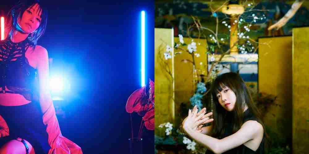 LiSA＆Aimer、テレビアニメ「鬼滅の刃」OP・EDテーマ収録したアナログ盤リリース決定：【音楽】