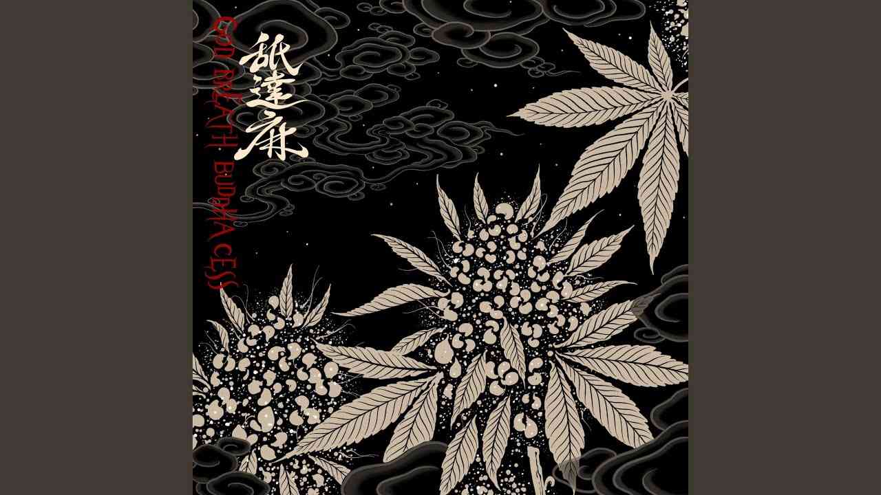 MOOD APHRODITEGANG - YouTube