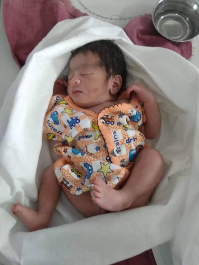 草むらに捨てられた赤ちゃん、野良犬の親子に温められ生きて発見される