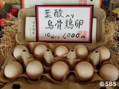 渡辺美奈代、手作り弁当“復活”でファン歓喜「お洒落~」「やっぱり素敵」と絶賛の声