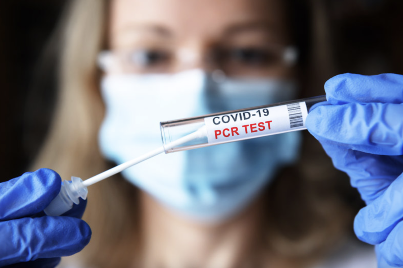 【厚労省職員の内部告発】PCR検査の「陽性」を巡り、感染していると見なす発表や報道を“詐欺”だと認める  |  RAPT理論のさらなる進化形