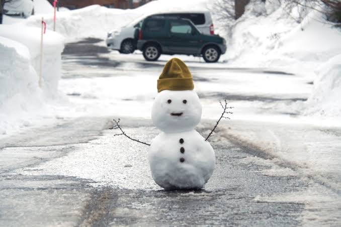雪の降らない地域に住んでいる人