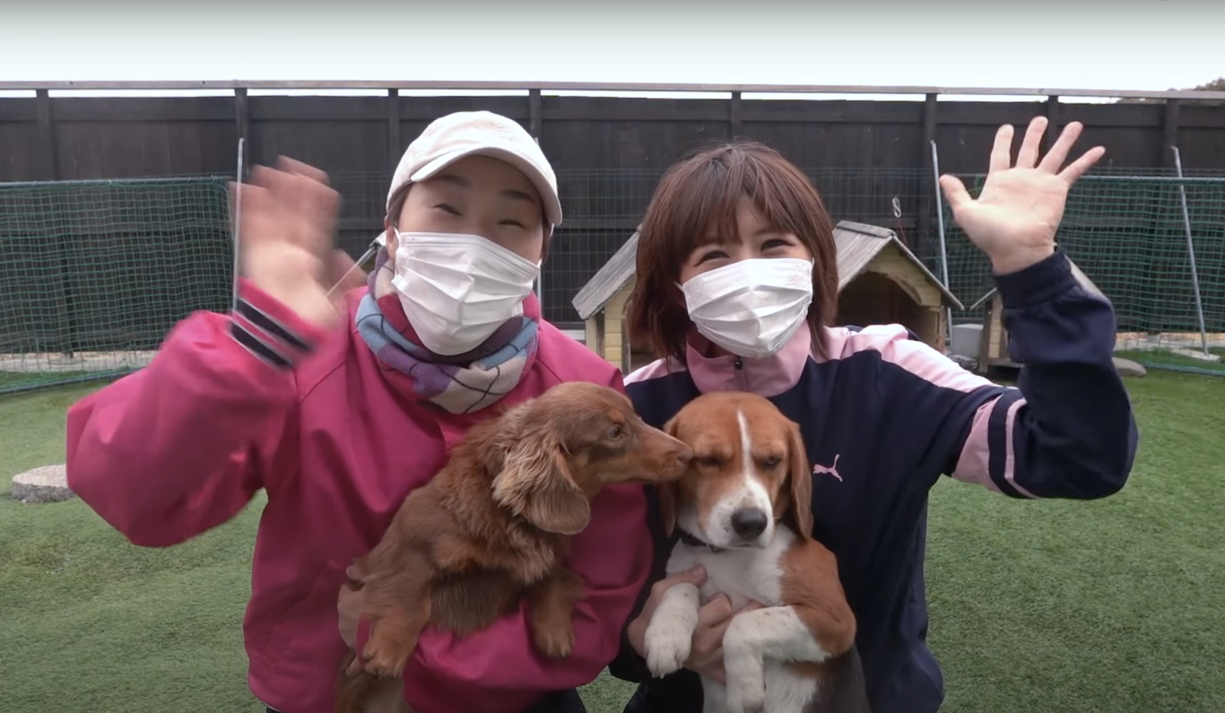 教会の犬たちを通して覆されたペットに関する世の常識　RAPT理論は私たちの様々な洗脳を解き、真実を教えてくれる(十二弟子・エリカさんの証)  |  RAPT理論のさらなる進化形