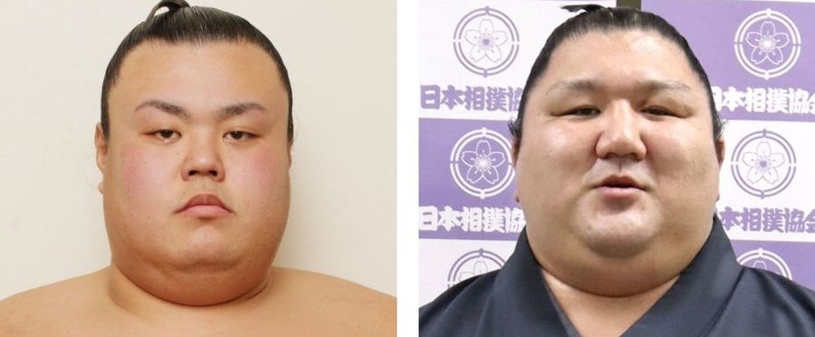 力士2人を賭博容疑で聴取　埼玉県警、書類送検へ