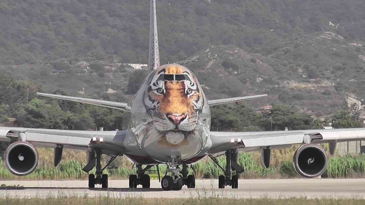 【寅年なので】トラ作品🐯