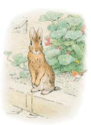 はじめしゃちょー、YOSHIKI、中川翔子、、、河野太郎大臣と対談したワクチン推進御用芸人が接種後、全員入院　 魑魅魍魎男