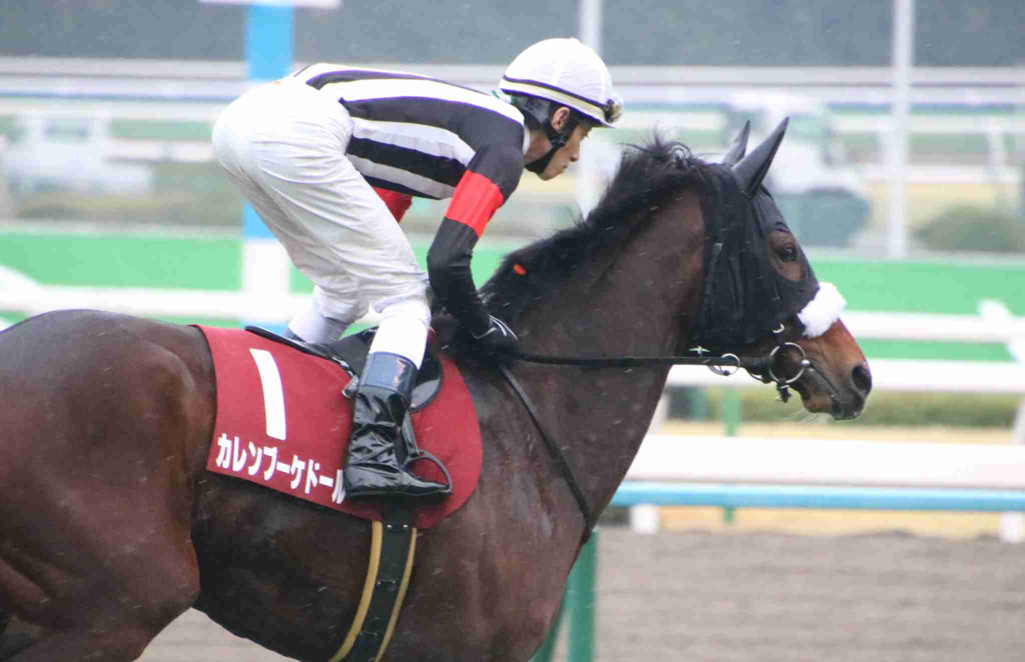 今度こそ、何度でも。カレンブーケドール、どうか大輪の花を。 | 競馬コラム＆ニュース「ウマフリ」