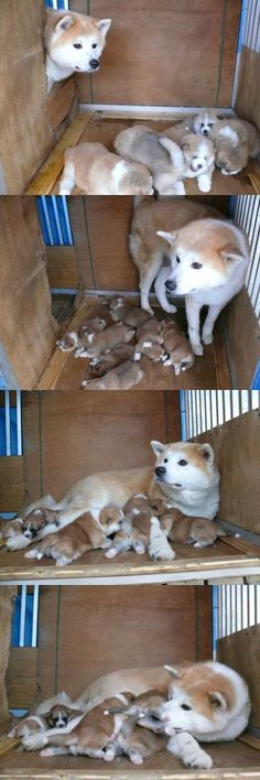 少子化を改善するには？