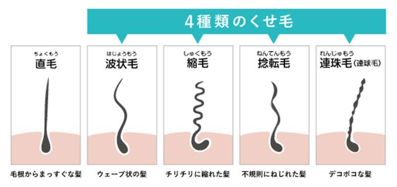 髪質ブスの人