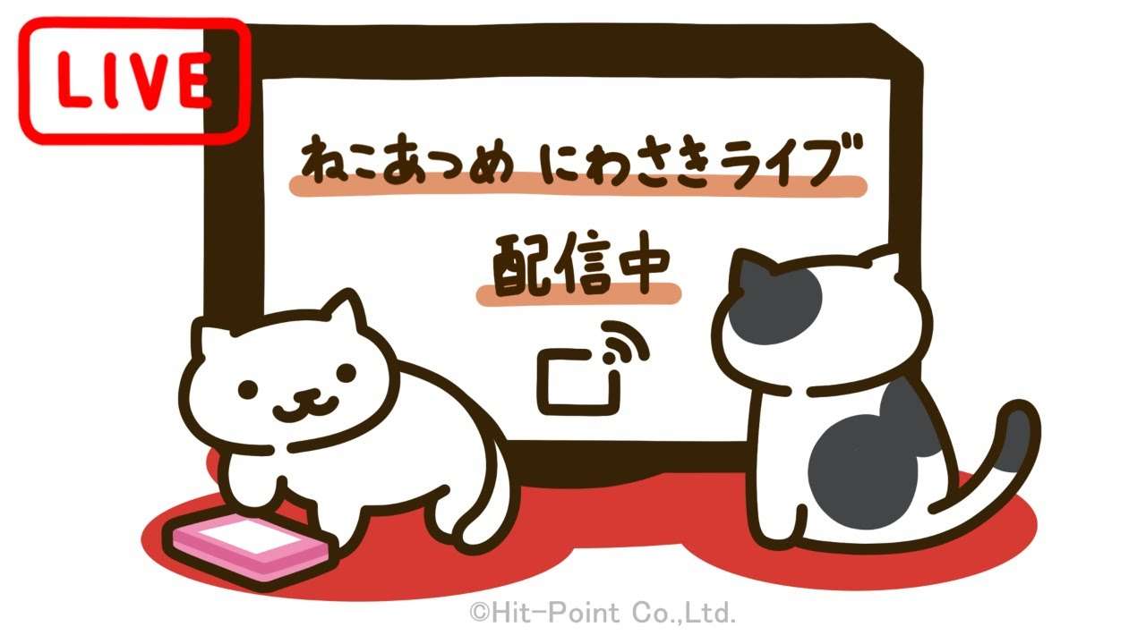 ねこあつめ　にわさきライブ　