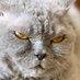 榎木淳弥 on Twitter: 