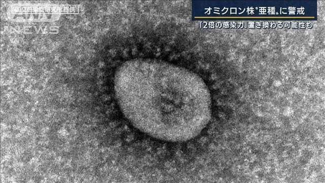 「第6波ピークアウトしないかも」“2倍の感染力”のオミクロン“亜種”とは？