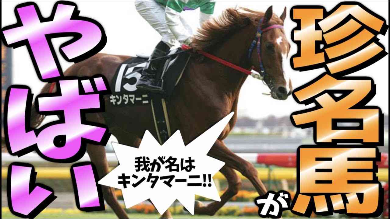 【替え歌】珍名馬でうまぴょい伝説!!!!!!!!!【ウマ娘】 - YouTube