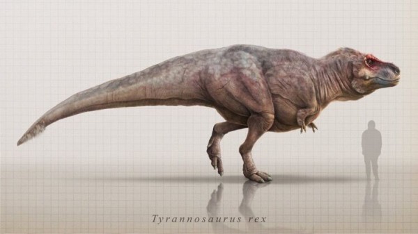 古代ワニの最後の晩餐は恐竜だった。化石からその捕食行動が明らかに