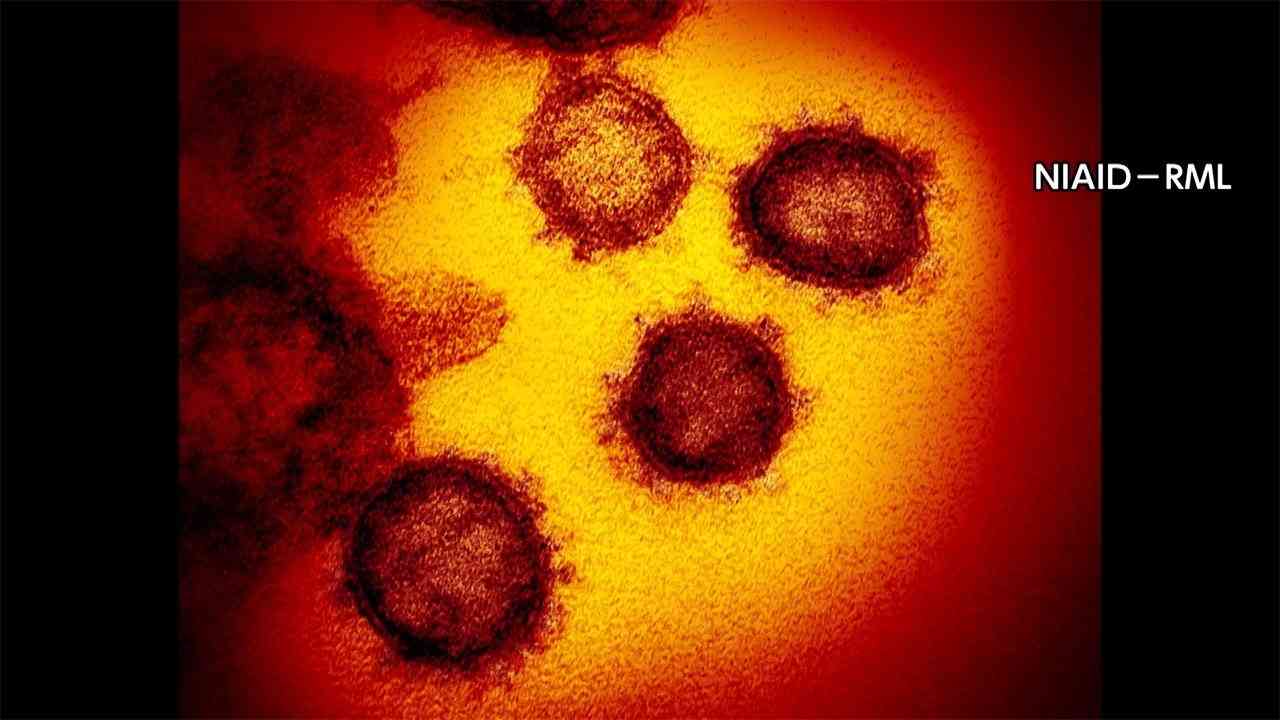 【速報】新型コロナ 全国で新たに271人死亡 1日当たりの死者が過去最多上回る（FNNプライムオンライン） - Yahoo!ニュース