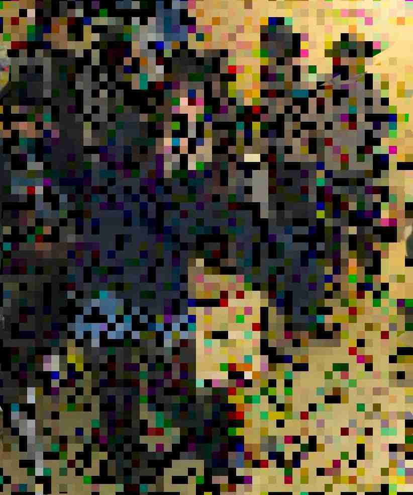 たぬかな差別発言は売名目的か「毒舌キャラ作りに必死だった」 | RON'S JOURNAL