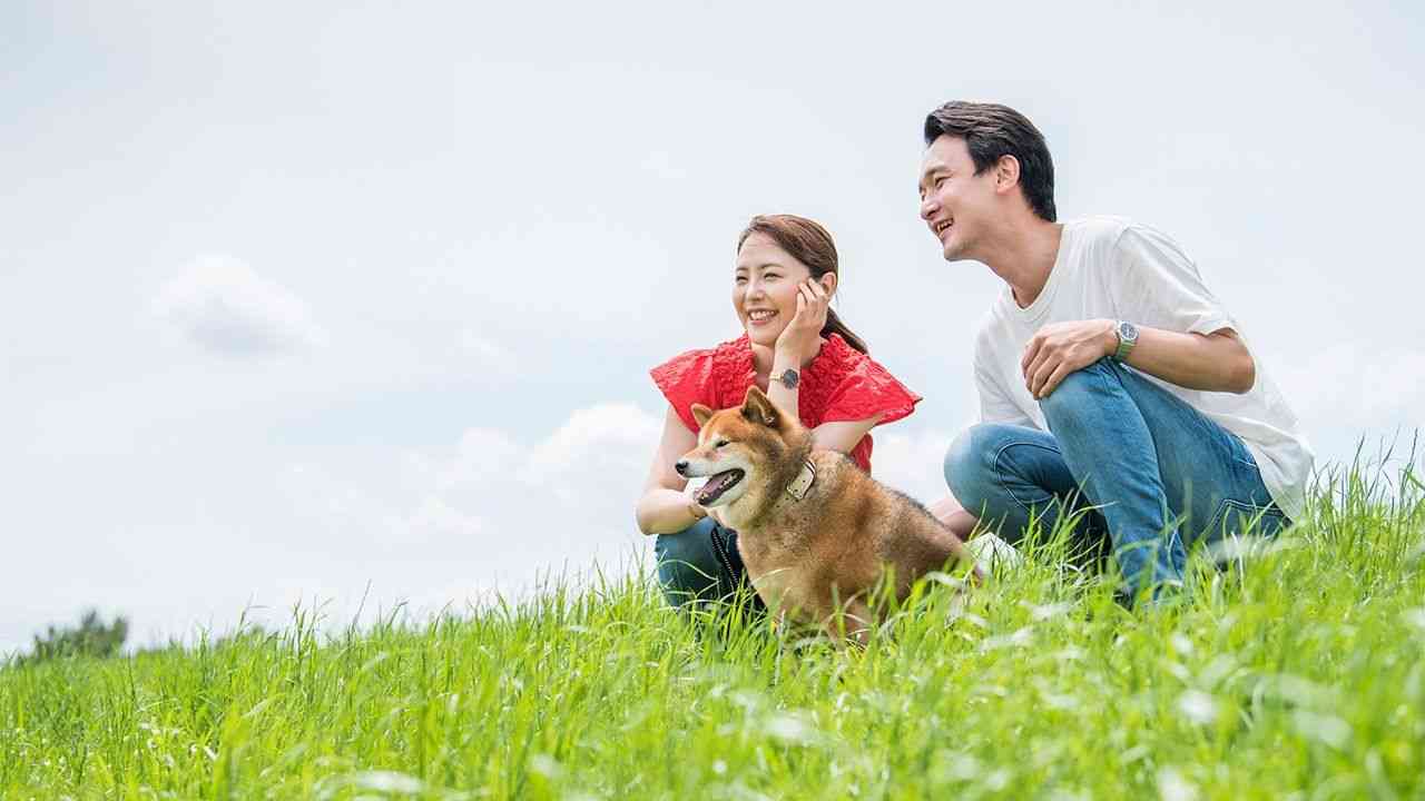 先進国で唯一「夫婦同姓」義務の日本 : 妻の姓選ぶカップルわずか4% | nippon.com