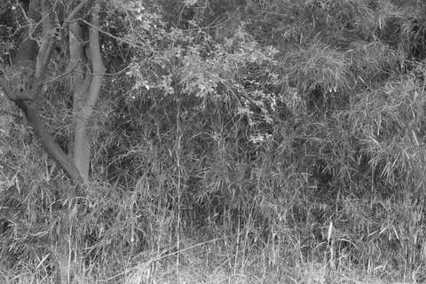 【閲覧注意】中国政府が見捨てた村の数々がヤバすぎる……（動画） : うしみつ-5chまとめ-