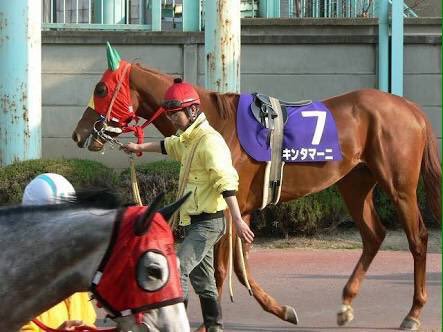 競走馬のユニークな名前