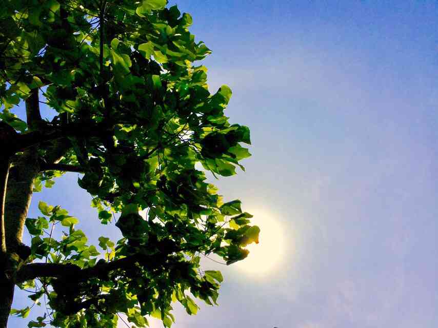 前略、TBSテレビチーフプロデューサー様 | 細川茂樹オフィシャルブログ Powered by Ameba