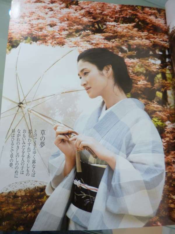 綺麗な着物が見たい