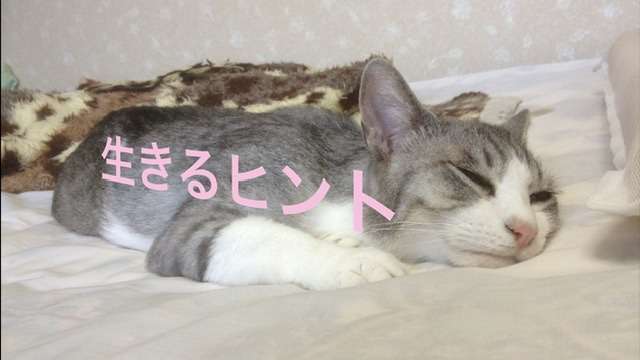 自称HSPと真のHSPの違いとは？ | こころセルフ