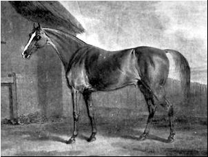 ポテイトーズ - Wikipedia