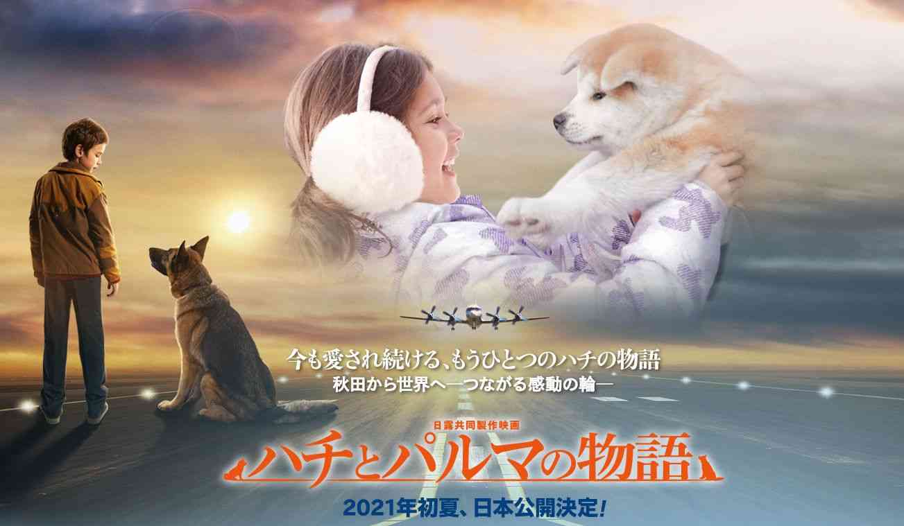 日露共同作品映画『ハチとパルマの物語』公式サイト