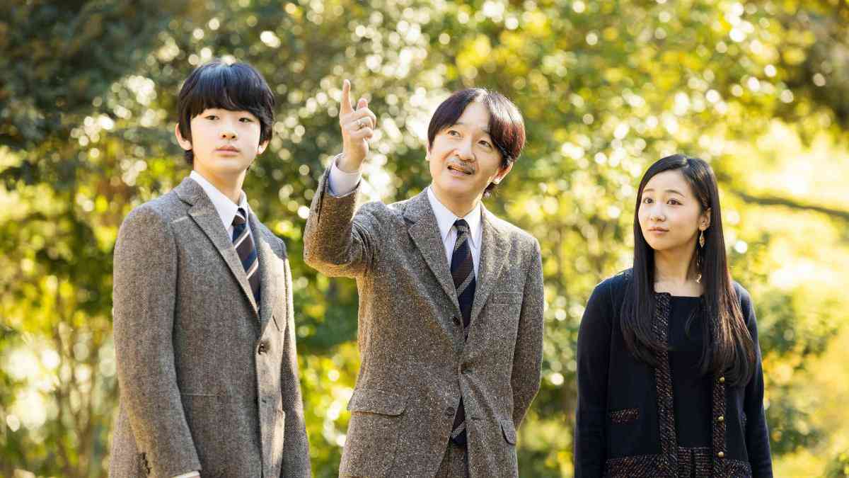 Prince Hisahito of Japan ‘copied guidebook’ for award-winning essay | World | The Times