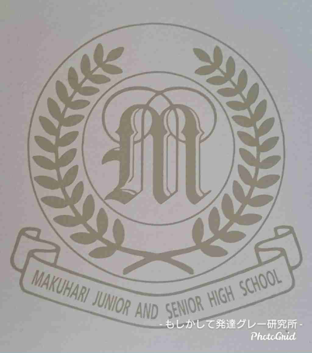 新興共学校の偏見ぶちまけます。渋渋、広尾、三田国際、八雲学園という淘汰 - もしかして発達グレー研究所～凸凹ハートの幸せを考えるブログ by QOLT