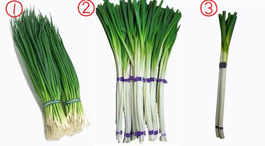 コロナ禍で青ネギの価格下落 収穫を迎えたネギの一部廃棄も