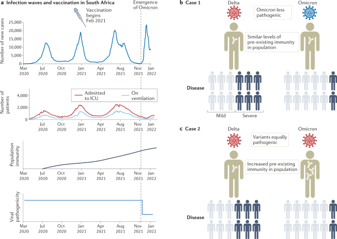 Milder disease with Omicron: is it the virus or the pre-existing immunity? | Nature Reviews Immunology
