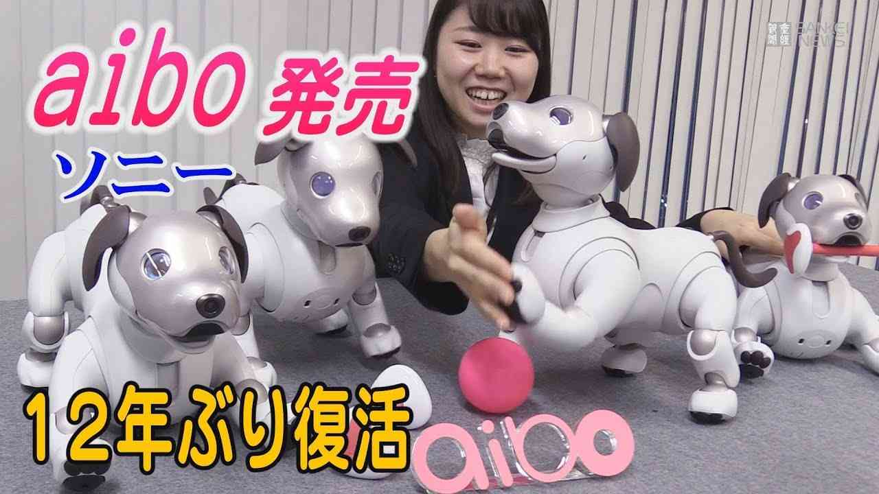 ソニー「aibo」発売　生産終了のAIBOを12年ぶりに復活 - YouTube