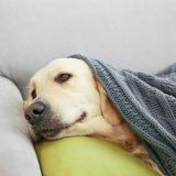 3月の期末テスト明けに球技大会ある。バスケでどうしても苦手な子いるけど、試合に... | ガールズちゃんねる - Girls Channel -