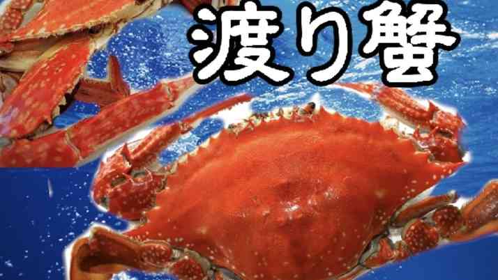 蟹座♋️の人集まれ！