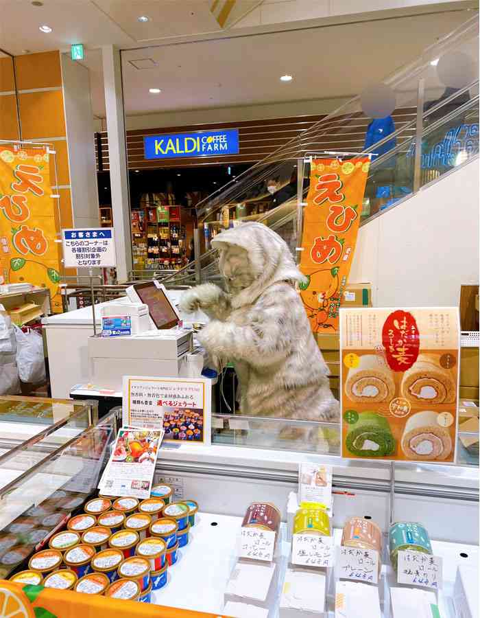 イオンでプリンを販売していた店員の姿に「二度見した」「来てほしい」