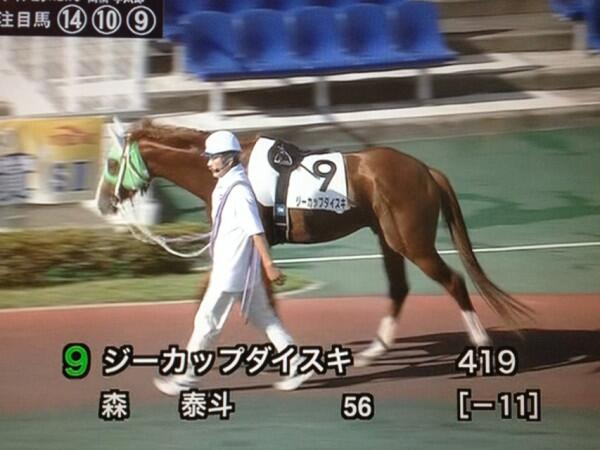 競走馬のユニークな名前