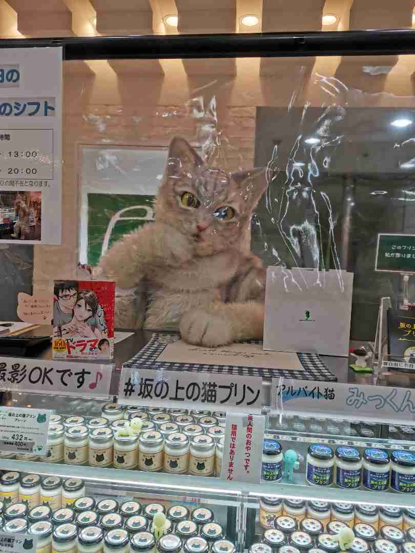イオンでプリンを販売していた店員の姿に「二度見した」「来てほしい」