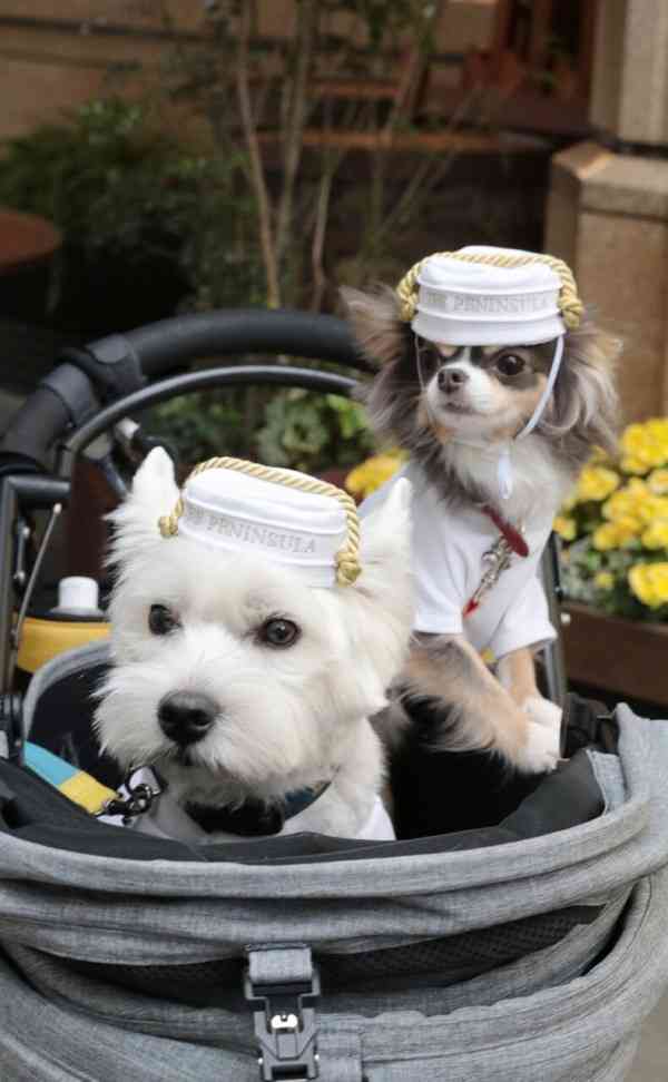 浜崎あゆみが意味深メッセージ「お決まりのつまんないルール、押し付けられたくない」