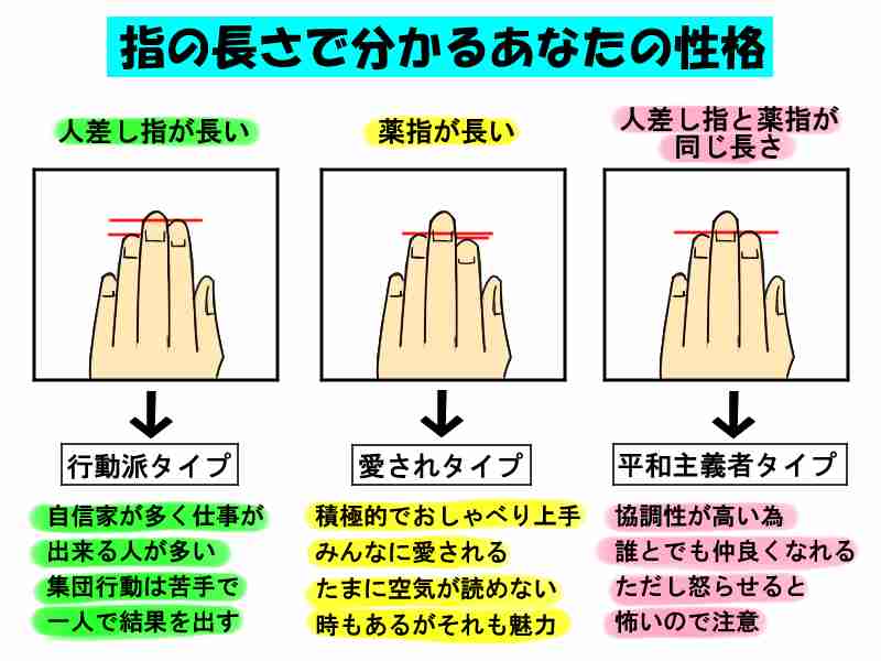 小指の長さと形で分かる性格診断が意外と当たる！