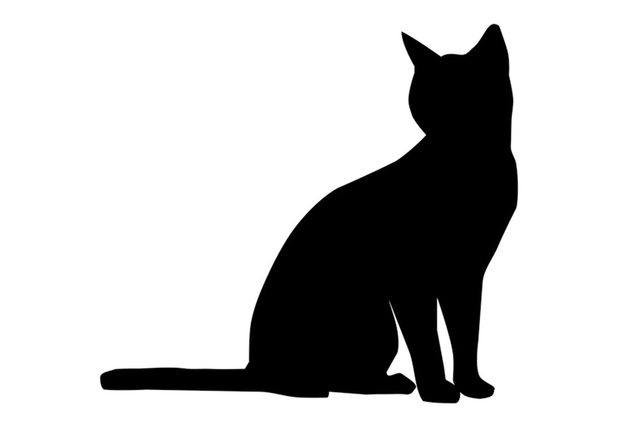 【2月22日は猫の日】「好きな“猫キャラ”ランキング」1位はジブリ、キティに大差で勝利の“国民的アニメ” | 週刊女性PRIME